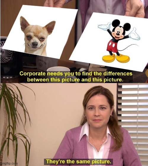 They're the some picture | image tagged in memes,they're the same picture | made w/ Imgflip meme maker