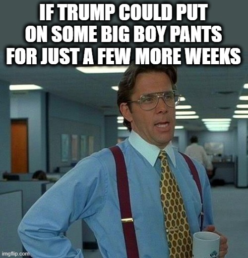 250,000+ and growing dead Americans. Millions sick and unemployed,  But lets muck up the transition process. What a sick A*****e | IF TRUMP COULD PUT ON SOME BIG BOY PANTS FOR JUST A FEW MORE WEEKS | image tagged in memes,that would be great,politics,joe biden,election 2020,donald trump is an idiot | made w/ Imgflip meme maker