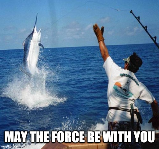 Force | MAY THE FORCE BE WITH YOU | image tagged in sport fishing | made w/ Imgflip meme maker