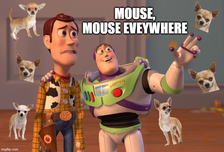 Mouse, Mouse Everywhere | MOUSE, MOUSE EVEYWHERE | image tagged in memes,x x everywhere,chihuahua | made w/ Imgflip meme maker