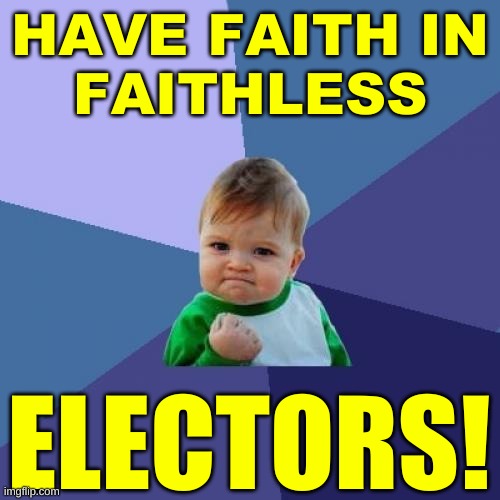 Success Kid | HAVE FAITH IN
FAITHLESS; ELECTORS! | image tagged in memes,success kid,faithless electors,election 2020,no more toilet paper,trump lost | made w/ Imgflip meme maker