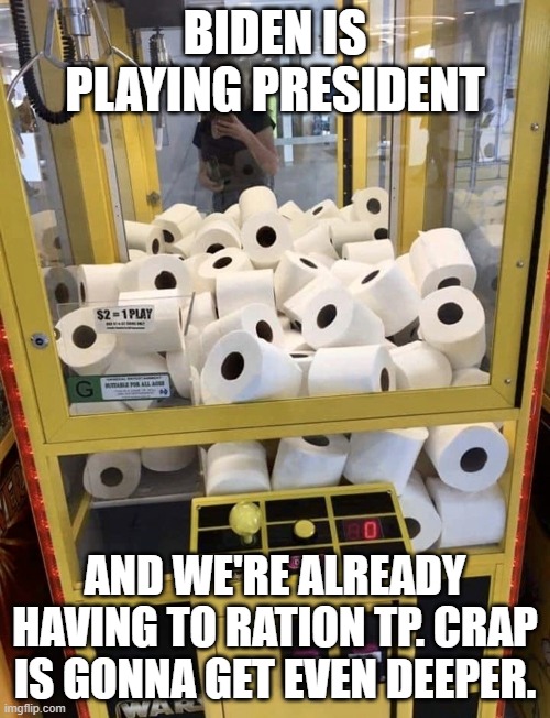 Toilet Paper | BIDEN IS PLAYING PRESIDENT; AND WE'RE ALREADY HAVING TO RATION TP. CRAP IS GONNA GET EVEN DEEPER. | image tagged in toilet paper | made w/ Imgflip meme maker
