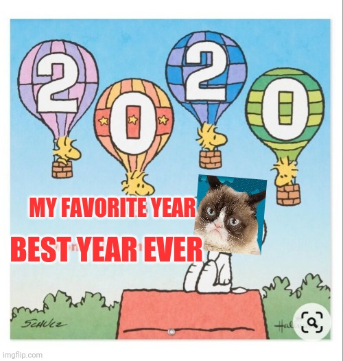 Grumpycat lovin' it | MY FAVORITE YEAR; BEST YEAR EVER | image tagged in grumpy cat christmas,crazy | made w/ Imgflip meme maker