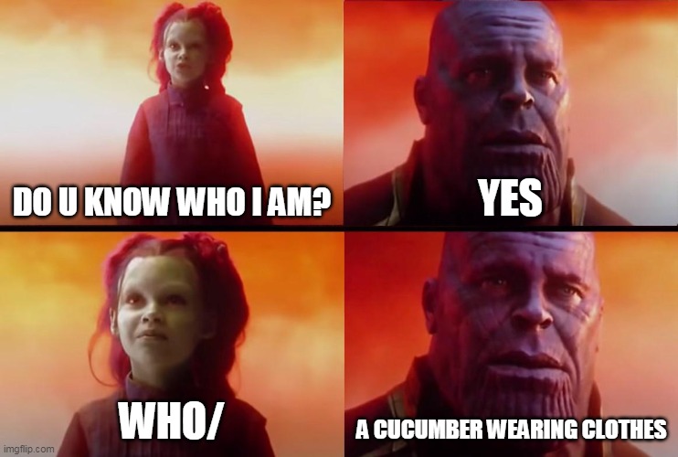 thanos what did it cost | DO U KNOW WHO I AM? YES; WHO/; A CUCUMBER WEARING CLOTHES | image tagged in thanos what did it cost | made w/ Imgflip meme maker