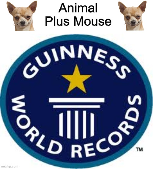 the Best Guiness World Record | Animal Plus Mouse | image tagged in memes,guinness world record | made w/ Imgflip meme maker