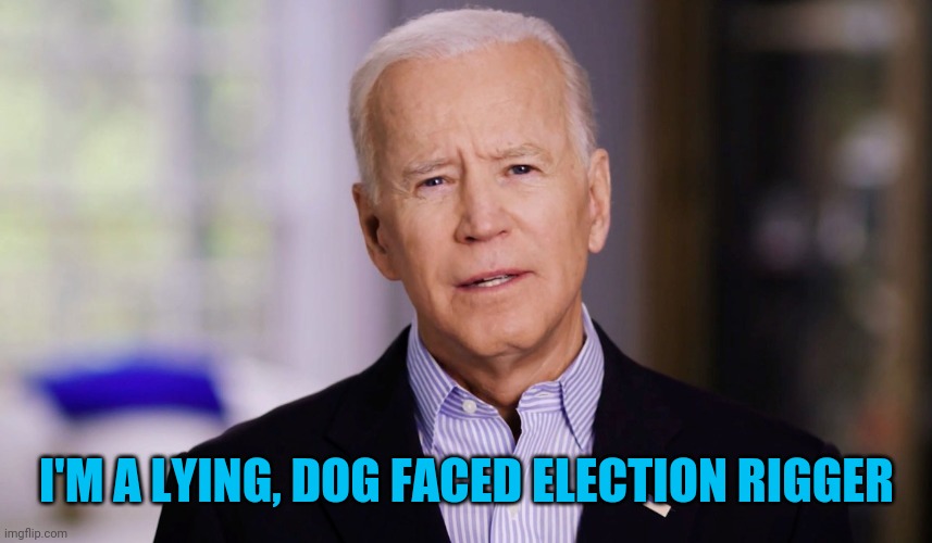 Joe Biden 2020 | I'M A LYING, DOG FACED ELECTION RIGGER | image tagged in joe biden 2020 | made w/ Imgflip meme maker