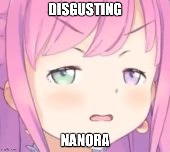 Disgusting Nanora | DISGUSTING; NANORA | image tagged in hololive,himemori luna,disgusted face | made w/ Imgflip meme maker