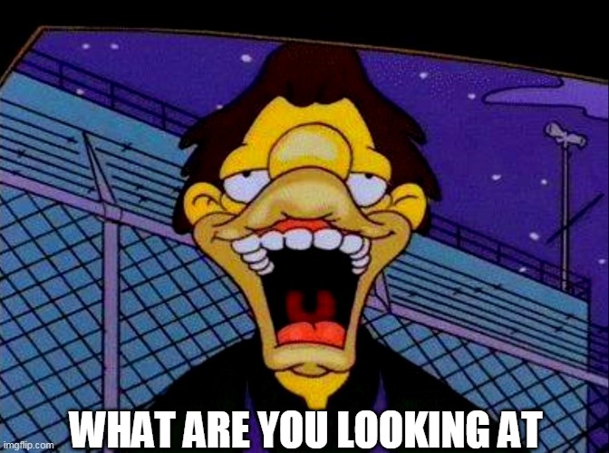 WHAT ARE YOU LOOKING AT | image tagged in the simpsons,lenny leonard,what are you looking at | made w/ Imgflip meme maker