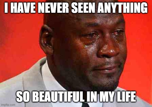 I HAVE NEVER SEEN ANYTHING SO BEAUTIFUL IN MY LIFE | image tagged in crying michael jordan | made w/ Imgflip meme maker