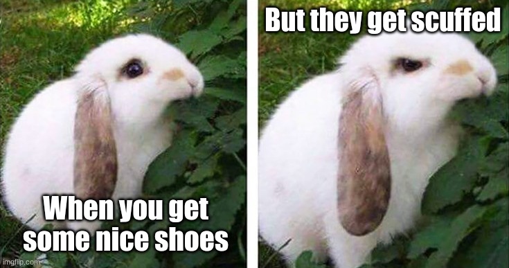MY SHOOOEEESS! | But they get scuffed; When you get some nice shoes | image tagged in angry bunny | made w/ Imgflip meme maker