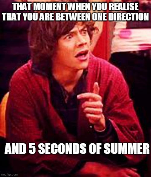 5sos or one direction?(i choose both) | THAT MOMENT WHEN YOU REALISE THAT YOU ARE BETWEEN ONE DIRECTION; AND 5 SECONDS OF SUMMER | image tagged in shocked one direction | made w/ Imgflip meme maker