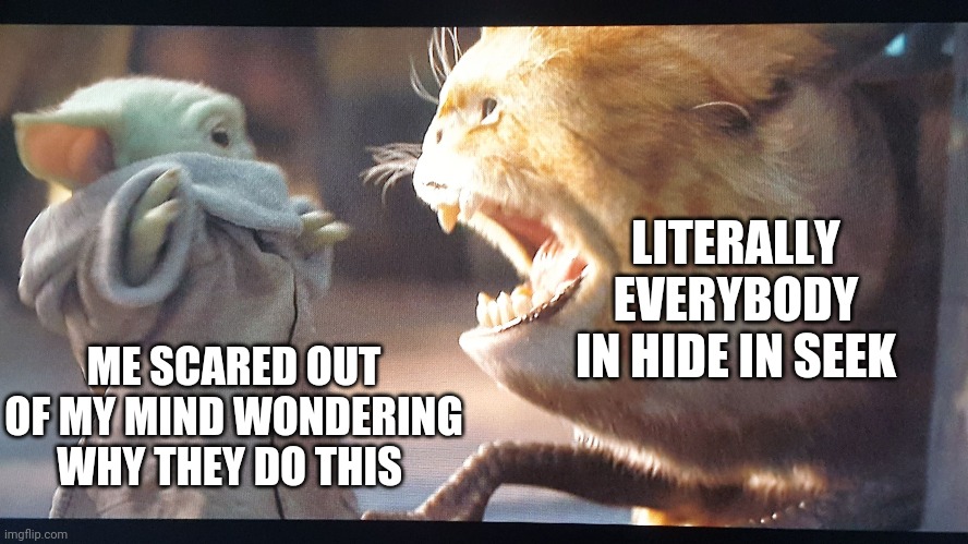 Why o why | LITERALLY EVERYBODY IN HIDE IN SEEK; ME SCARED OUT OF MY MIND WONDERING WHY THEY DO THIS | image tagged in baby yoda and kitty | made w/ Imgflip meme maker