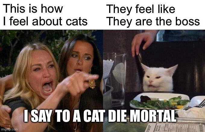 Cats are trash | This is how I feel about cats; They feel like They are the boss; I SAY TO A CAT DIE MORTAL | image tagged in memes,woman yelling at cat | made w/ Imgflip meme maker