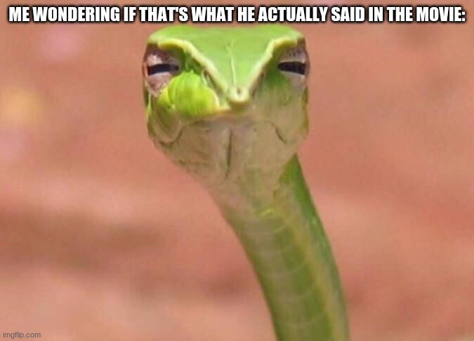 Skeptical snake | ME WONDERING IF THAT'S WHAT HE ACTUALLY SAID IN THE MOVIE: | image tagged in skeptical snake | made w/ Imgflip meme maker