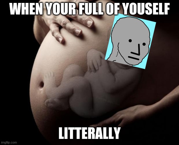 UPVOTES ME PILE IN SHIT | WHEN YOUR FULL OF YOUSELF; LITTERALLY | image tagged in pregnant stomach | made w/ Imgflip meme maker