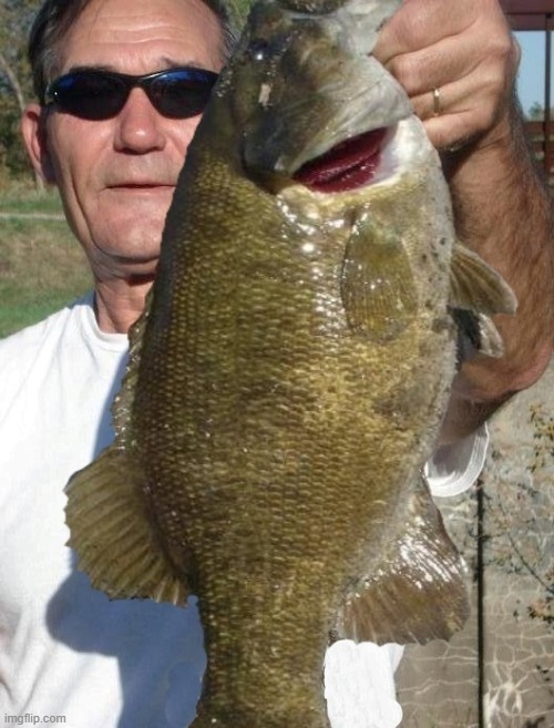 smallmouth bass i caught in june | image tagged in smallmouth,bass | made w/ Imgflip meme maker