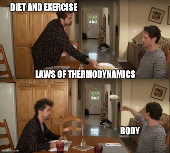 Dennis Throwing Plate |  DIET AND EXERCISE; LAWS OF THERMODYNAMICS; BODY | image tagged in dennis throwing plate | made w/ Imgflip meme maker