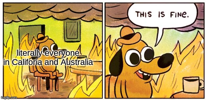 sorry if offensive | literally everyone in Califoria and Australia | image tagged in memes,this is fine | made w/ Imgflip meme maker
