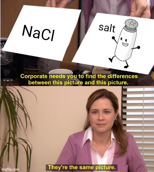 Made a meme for NaCl (note from mod: and that's a fact) | NaCl; salt | image tagged in memes,they're the same picture,salt,meme,they are the same picture,corporate needs you to find the differences | made w/ Imgflip meme maker
