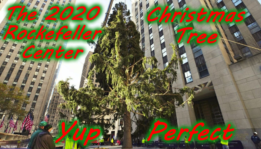 Just Put All Sides Of It To The Back | The 2020
Rockefeller
Center; Christmas
Tree; Yup    Perfect | image tagged in meme,funny,christmas,nyc,new york city,holiday | made w/ Imgflip meme maker