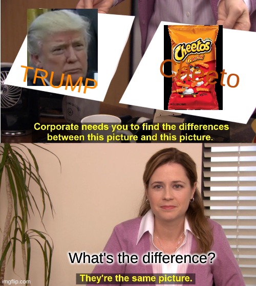 They're The Same Picture Meme | Cheeto; TRUMP; What's the difference? | image tagged in memes,they're the same picture | made w/ Imgflip meme maker