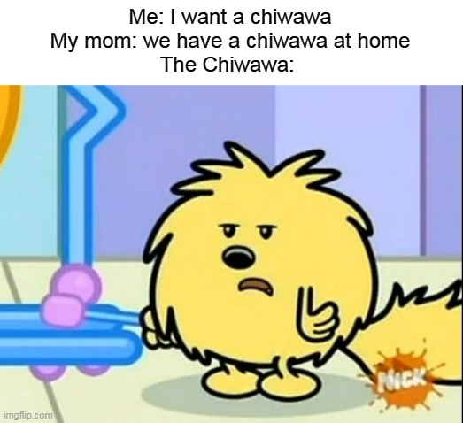 Wubbzy the Chiwawa | Me: I want a chiwawa
My mom: we have a chiwawa at home
The Chiwawa: | image tagged in wubbzy | made w/ Imgflip meme maker