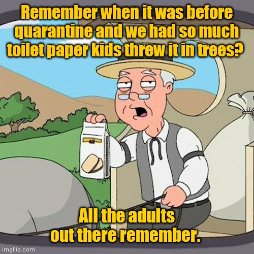Trying my best. | Remember when it was before quarantine and we had so much toilet paper kids threw it in trees? All the adults out there remember. | image tagged in memes,pepperidge farm remembers,doesanyoneremember,tryingtobefunny | made w/ Imgflip meme maker