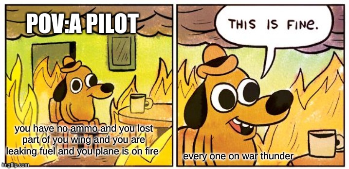 This Is Fine Meme | POV:A PILOT; you have no ammo and you lost part of you wing and you are leaking fuel and you plane is on fire; every one on war thunder | image tagged in memes,this is fine | made w/ Imgflip meme maker