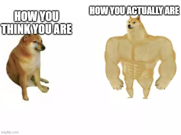 buff doge vs cheems reversed | HOW YOU ACTUALLY ARE; HOW YOU THINK YOU ARE | image tagged in buff doge vs cheems reversed,wholesome | made w/ Imgflip meme maker