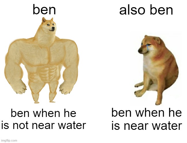 Buff Doge vs. Cheems Meme | ben also ben ben when he is not near water ben when he is near water | image tagged in memes,buff doge vs cheems | made w/ Imgflip meme maker