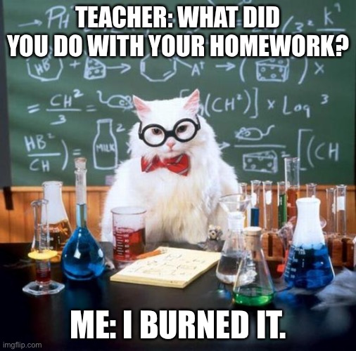 If you looked at my other memes you will know why. | TEACHER: WHAT DID YOU DO WITH YOUR HOMEWORK? ME: I BURNED IT. | image tagged in memes,chemistry cat,school | made w/ Imgflip meme maker