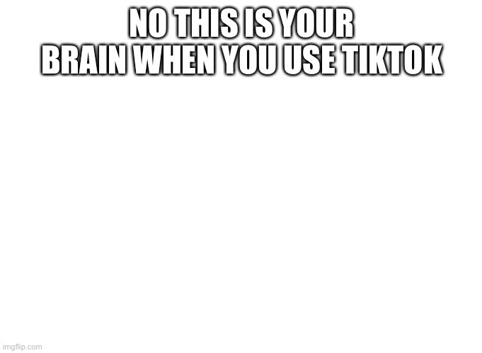 NO THIS IS YOUR BRAIN WHEN YOU USE TIKTOK | made w/ Imgflip meme maker