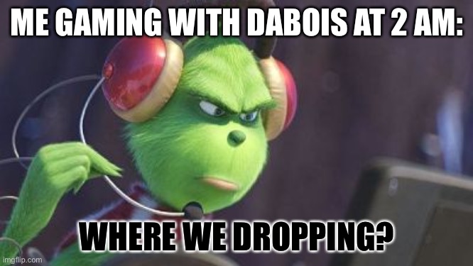 Gaming grinch | ME GAMING WITH DABOIS AT 2 AM:; WHERE WE DROPPING? | image tagged in grinch | made w/ Imgflip meme maker