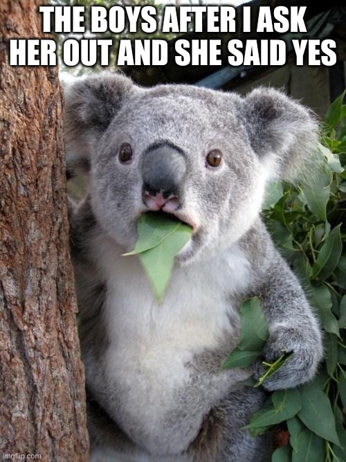 Surprised Koala Meme | THE BOYS AFTER I ASK HER OUT AND SHE SAID YES | image tagged in memes,surprised koala | made w/ Imgflip meme maker