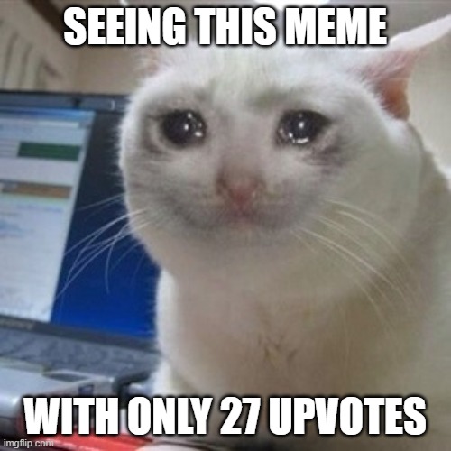 Crying cat | SEEING THIS MEME WITH ONLY 27 UPVOTES | image tagged in crying cat | made w/ Imgflip meme maker