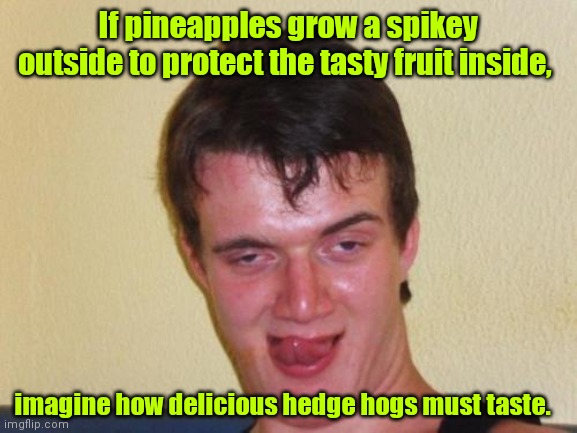 I got the munchies. | If pineapples grow a spikey outside to protect the tasty fruit inside, imagine how delicious hedge hogs must taste. | image tagged in 10 guy stoned,hedgehog,spikey,kindafunny | made w/ Imgflip meme maker