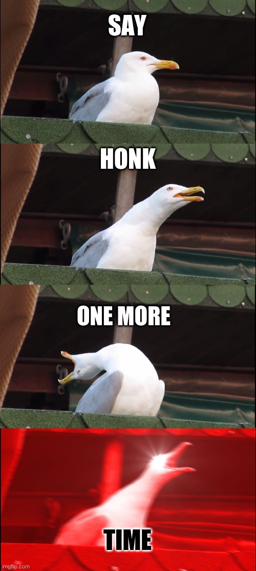 Inhaling Seagull Meme | SAY; HONK; ONE MORE; TIME | image tagged in memes,inhaling seagull | made w/ Imgflip meme maker