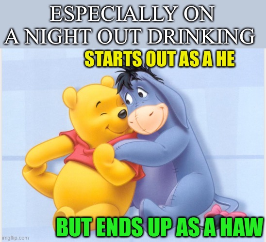 ESPECIALLY ON A NIGHT OUT DRINKING BUT ENDS UP AS A HAW STARTS OUT AS A HE | made w/ Imgflip meme maker