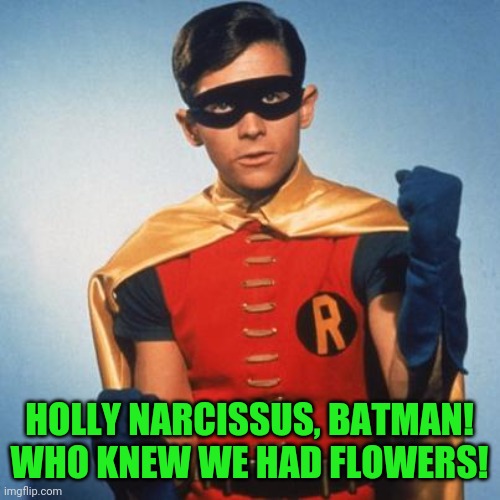 Robin | HOLLY NARCISSUS, BATMAN! WHO KNEW WE HAD FLOWERS! | image tagged in robin | made w/ Imgflip meme maker