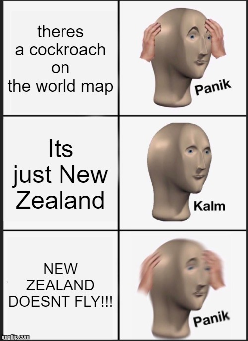 Panik Kalm Panik | theres a cockroach on the world map; Its just New Zealand; NEW ZEALAND DOESNT FLY!!! | image tagged in memes,panik kalm panik | made w/ Imgflip meme maker