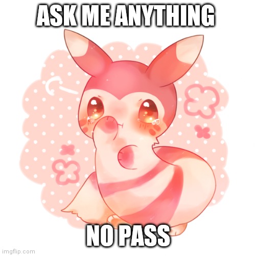 Ferret pokemon | ASK ME ANYTHING; NO PASS | image tagged in ferret pokemon | made w/ Imgflip meme maker