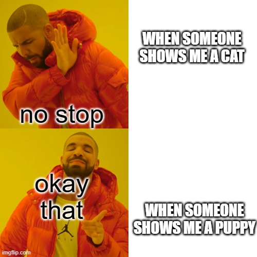 Drake Hotline Bling | WHEN SOMEONE SHOWS ME A CAT; no stop; okay that; WHEN SOMEONE SHOWS ME A PUPPY | image tagged in memes,drake hotline bling | made w/ Imgflip meme maker