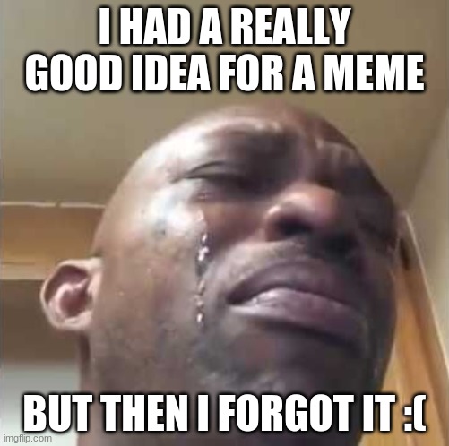 why | I HAD A REALLY GOOD IDEA FOR A MEME; BUT THEN I FORGOT IT :( | image tagged in crying guy meme | made w/ Imgflip meme maker