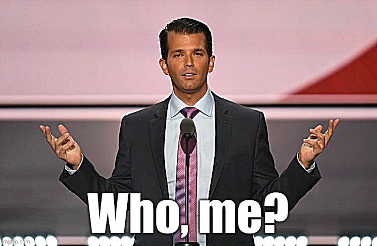 Those highly incriminating Russiagate emails? DJT Jr. published them himself on his own Twitter feed. Lol | Who, me? | image tagged in donald trump jr,russiagate,robert mueller,russian collusion,mueller,mueller time | made w/ Imgflip meme maker