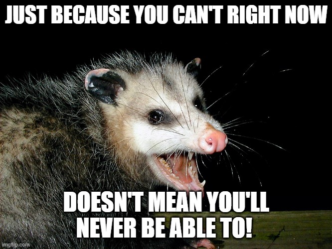 JUST BECAUSE YOU CAN'T RIGHT NOW; DOESN'T MEAN YOU'LL NEVER BE ABLE TO! | made w/ Imgflip meme maker