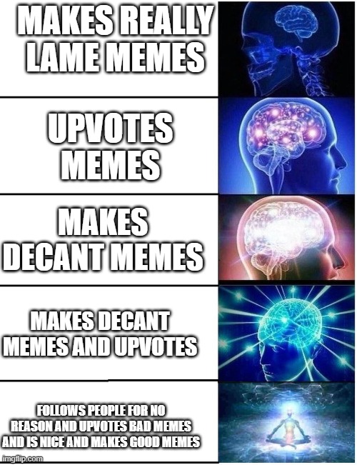 Expanding Brain 5 Panel | MAKES REALLY LAME MEMES; UPVOTES MEMES; MAKES DECANT MEMES; MAKES DECANT MEMES AND UPVOTES; FOLLOWS PEOPLE FOR NO REASON AND UPVOTES BAD MEMES AND IS NICE AND MAKES GOOD MEMES | image tagged in expanding brain 5 panel | made w/ Imgflip meme maker