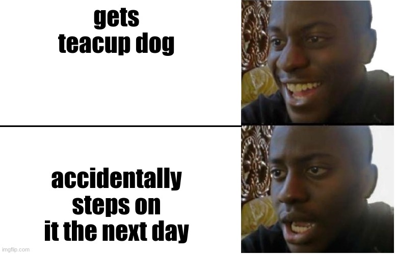 oh no | gets teacup dog; accidentally steps on it the next day | image tagged in disappointed black guy | made w/ Imgflip meme maker