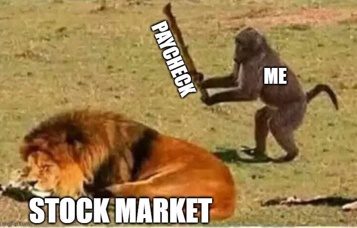 When you want those returns | PAYCHECK; ME; STOCK MARKET | image tagged in bad decisions | made w/ Imgflip meme maker