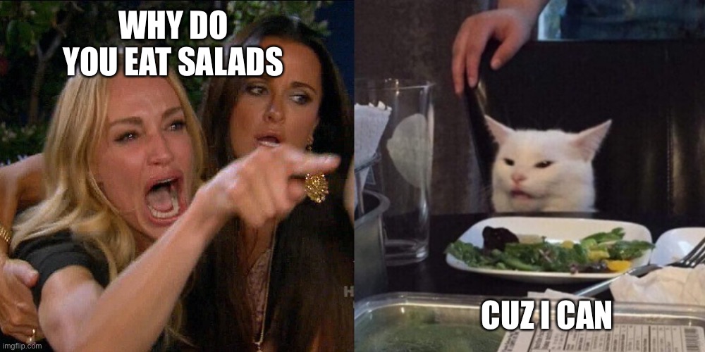 Woman yelling at cat | WHY DO YOU EAT SALADS; CUZ I CAN | image tagged in woman yelling at cat | made w/ Imgflip meme maker