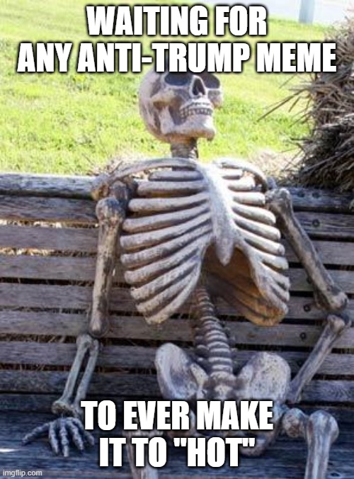 Waiting Skeleton | WAITING FOR ANY ANTI-TRUMP MEME; TO EVER MAKE IT TO "HOT" | image tagged in memes,waiting skeleton | made w/ Imgflip meme maker